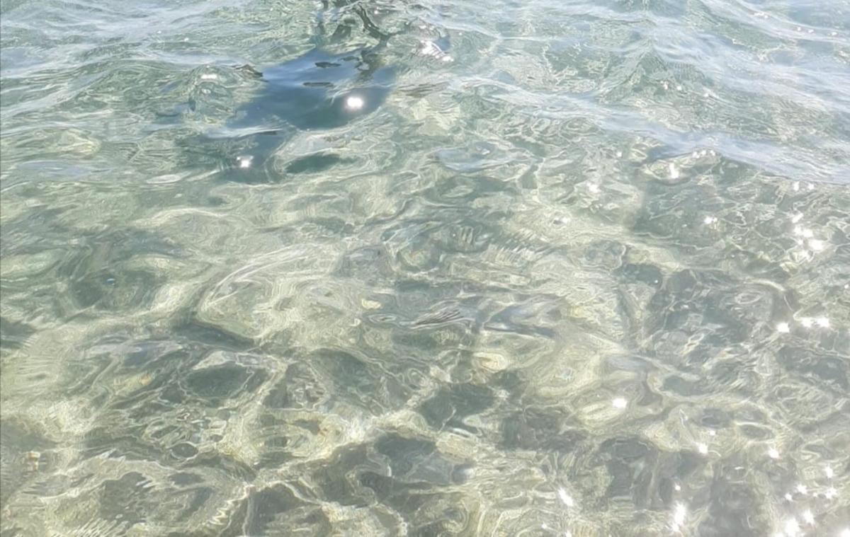Ghiro Ghiotto Panzió Pietra Ligure Kültér fotó